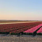 公寓 Het Stolpje
