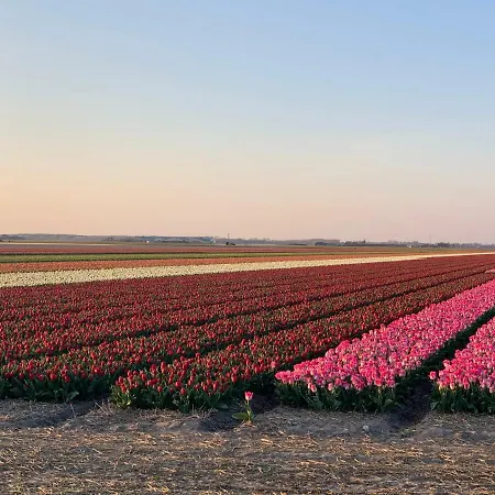 Lejlighed Het Stolpje